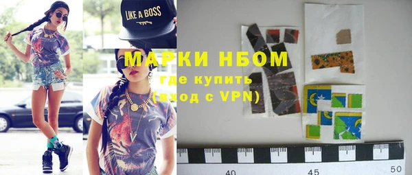 крисы Алзамай