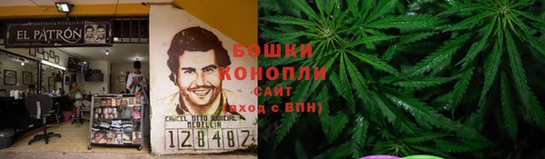 крисы Алзамай