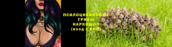 крисы Алзамай