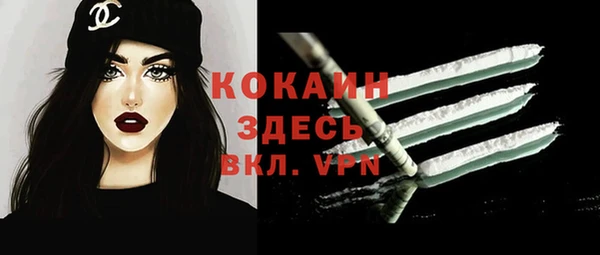 стафф Ельня