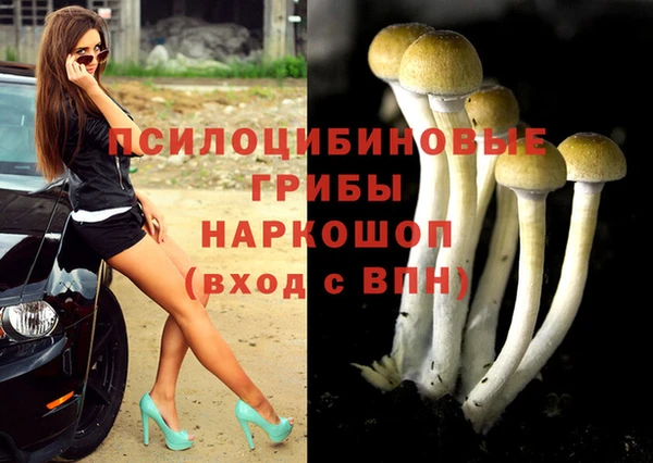 СК Алексеевка